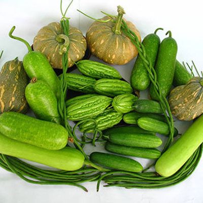 spnseeds 