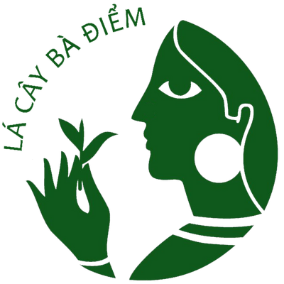 Lá Cây Bà Điểm