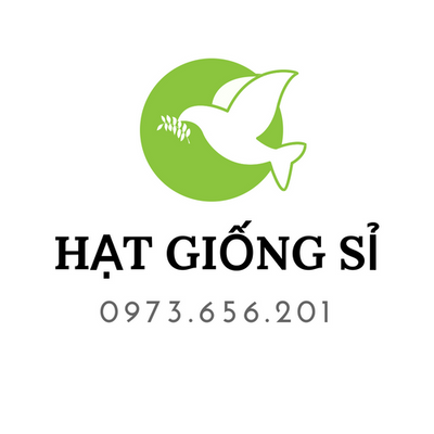 Hạt Giống Sỉ