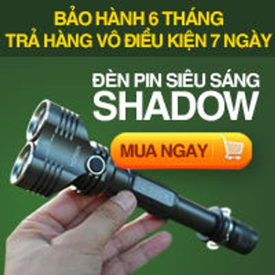 truong tuyet