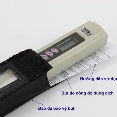 Rau sạch tại gia