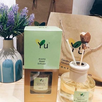 trinh nguyễn thị việt