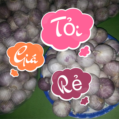 Tỏi Giá Rẻ