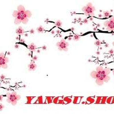 YangSu.shop