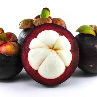 Măng cụt Gia. Ân