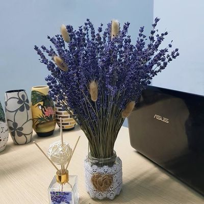 Thế giới oải hương Pháp
