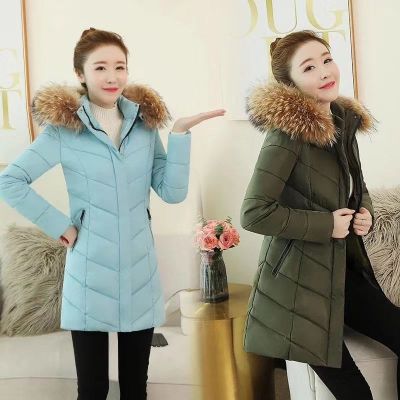 Nguồn Hàng Tận Gốc
