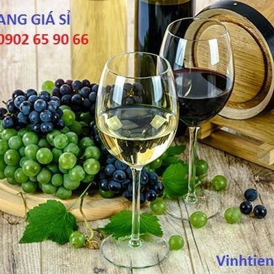 RƯỢU VANG GIÁ SỈ