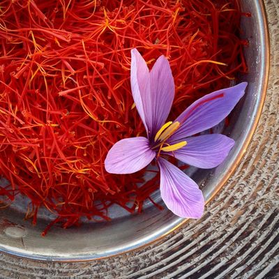 Saffron Xách Tay Giá Rẻ