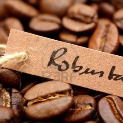 cà phê Robusta nguyên chất