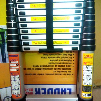 Chuồng chó và chuột