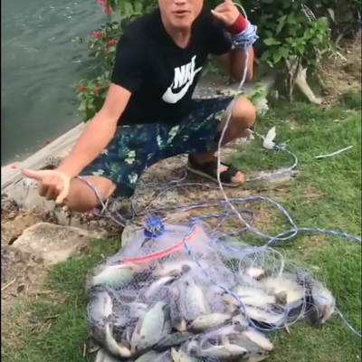 Việt Nguyễn Quang