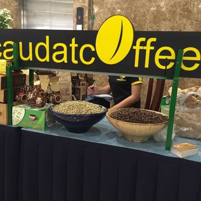 caudatcoffee