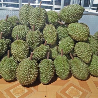 TRÁI CÂY MIỀN QUÊ