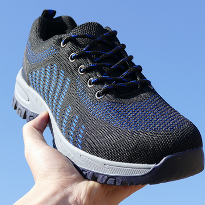 Sỉ Đồ Bảo Hộ