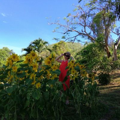 Điện máy Chí Cường