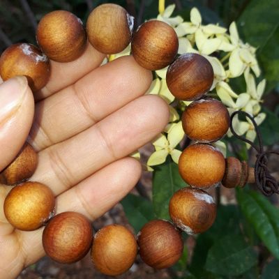 ĐỒ GỖ LẠNG SƠN