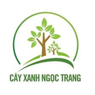 Cây xanh Ngọc Trang