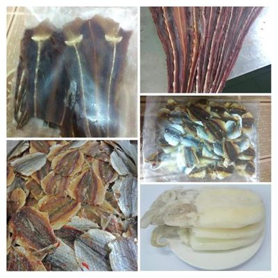Trang Nguyễn Thị Thùy