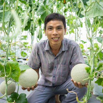 DƯA LƯỚI LANIFARM