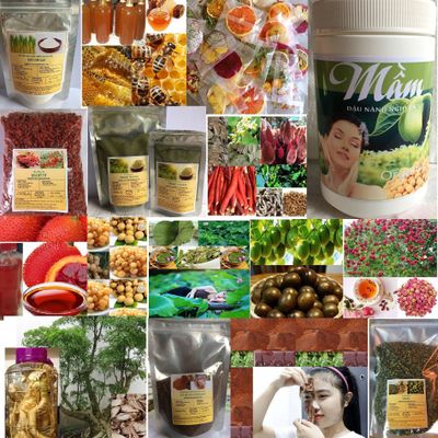 shop thiên nhiên