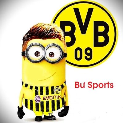 Bư Sport 113