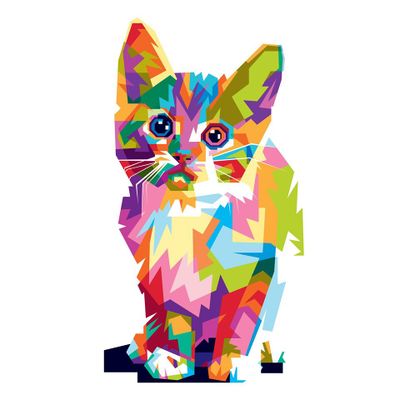 Kitty Store