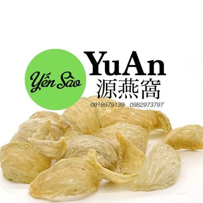 yến sào yuan