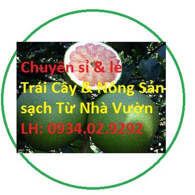 Túi Xinh