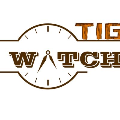 Đồng Hồ Tig Watch
