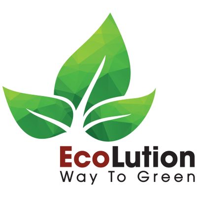 ECOLUTION GLOBAL