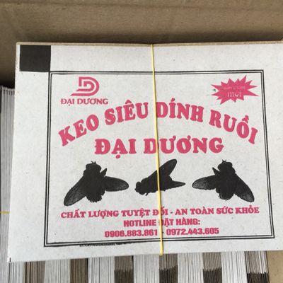 KEO DÍNH RUỒI