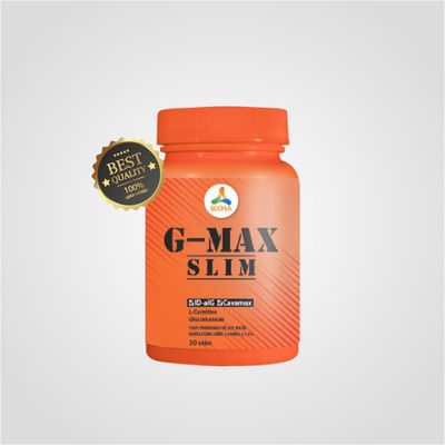 sixmavietnam