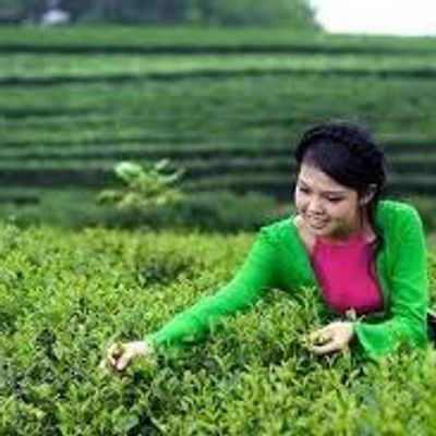 CÀO HUỲNH QUỐC