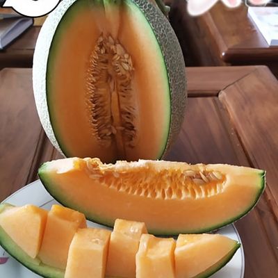 Nhà Phân phối sản phẩm dưa lưới SaMi Gia Lai