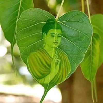Cửa Hàng Thường Phát