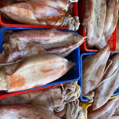 Sĩ , lẻ hải sản LP