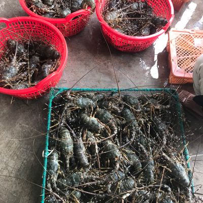 Công Trương