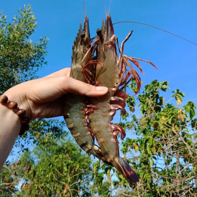 Hải sản tươi sạch