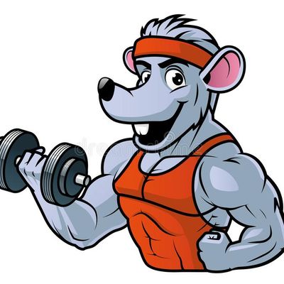Necessary For Fitness