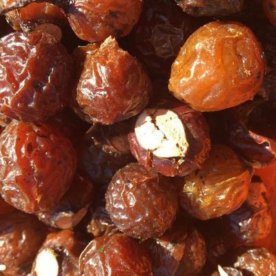 Chuyên Sỉ Lẻ Các Sản Phẩm Thiên Nhiên
