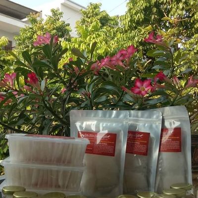 Yến tươi Quảng Ngãi