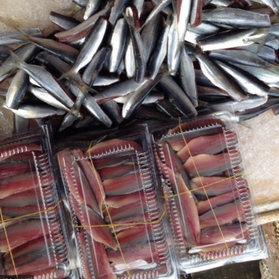 Hải Sản Tận Gốc
