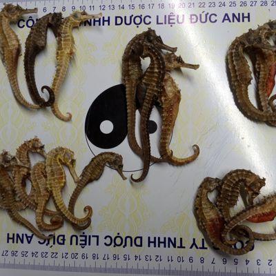Công ty dược liệu đức anh