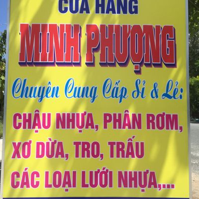 CH minh Phượng