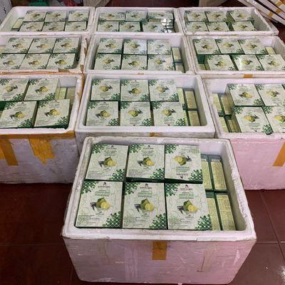 Tổng Kho Dầu Gội Chính Hãng