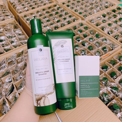 Dầu gội Weilaiya giá sỉ