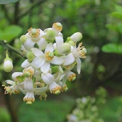 Sỉ quần áo xuất khẩu