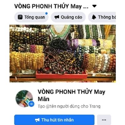 Chuyên sĩ băng băng