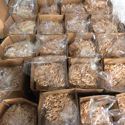 Bánh mứt đặc sản Bến Tre